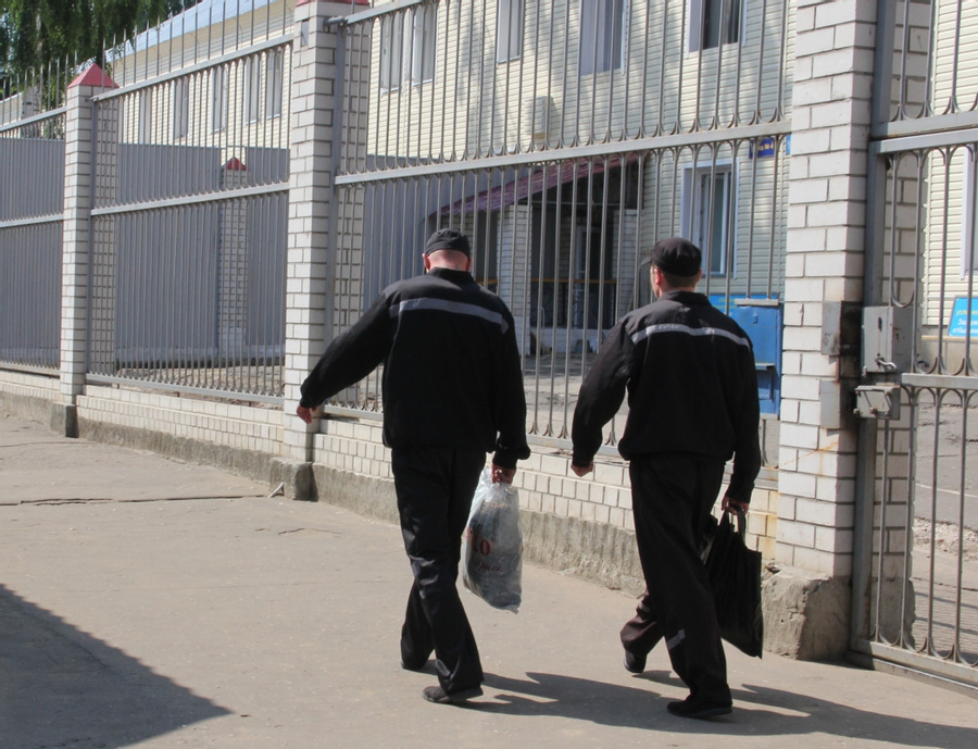 Уголовная амнистия в России: будет или нет + кого освободят, выйти раньше срока, отзывы, практика, новости