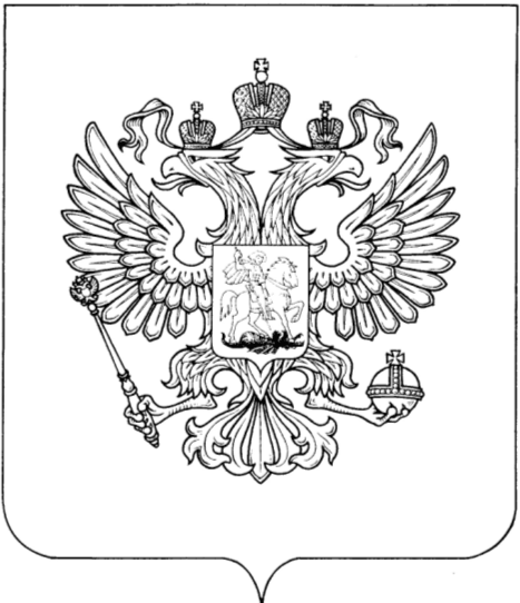 По каким правилам можно использовать герб РФ: основания, условия, законность