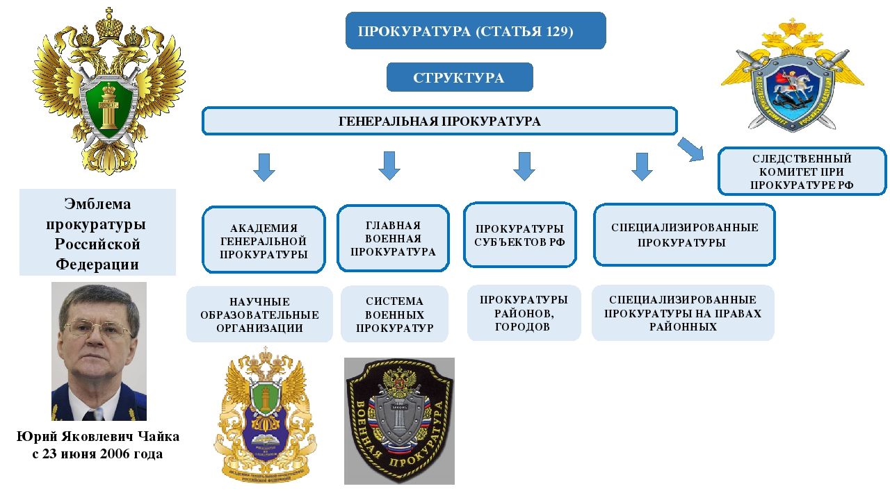 Структура прокуратуры: Как устроена прокуратура + должности которые есть в прокуратуре