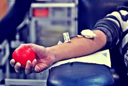 Донор и донорство крови - трансплантология органов