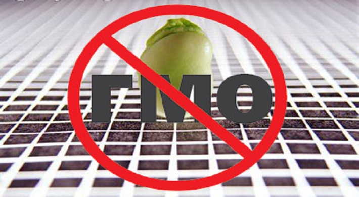 ГМО в пищевой продукции реальная статистика и как с этим бороться