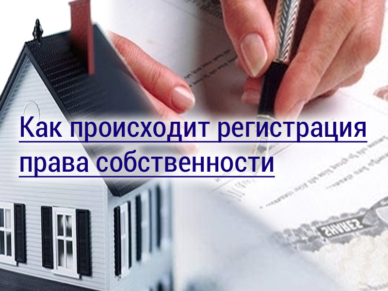 Право собственности на землю в РФ - как происходит оформление + документы и сроки
