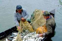 Незаконная рыбалка и какая может быть ответственность