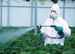 Особенности права на приобретение пестицидов и агрохимикатов, используемых в личных подсобных хозяйствах