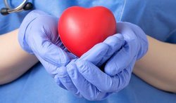 Донор и донорство крови - трансплантология органов