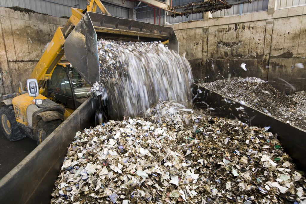 Опасность от органических отходов - как должны утилизироваться отходы животного происхождения