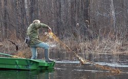 Незаконная рыбалка и какая может быть ответственность